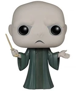 Funko POP Movies: Harry Potter - Voldemort Figure W/Protector