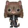 Funko POP! Harry Potter: HERMIONE GRANGER As CAT Figure #77 W/ Protector