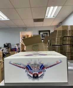 Yamato The Super Dimension Fortress Macross 1/48 Perfect Variant VF-1A Angel Birds